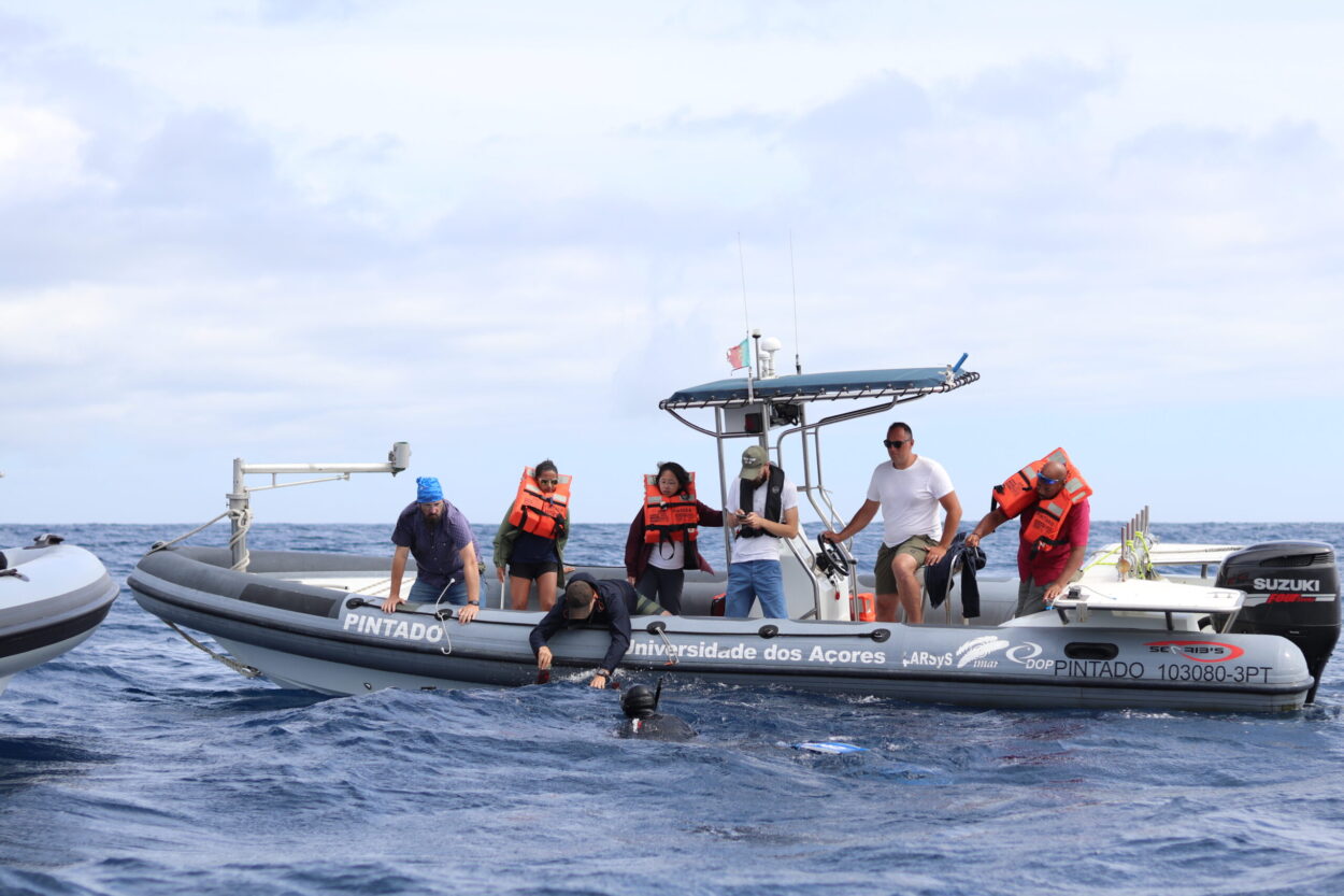 MIT Students in the Azores